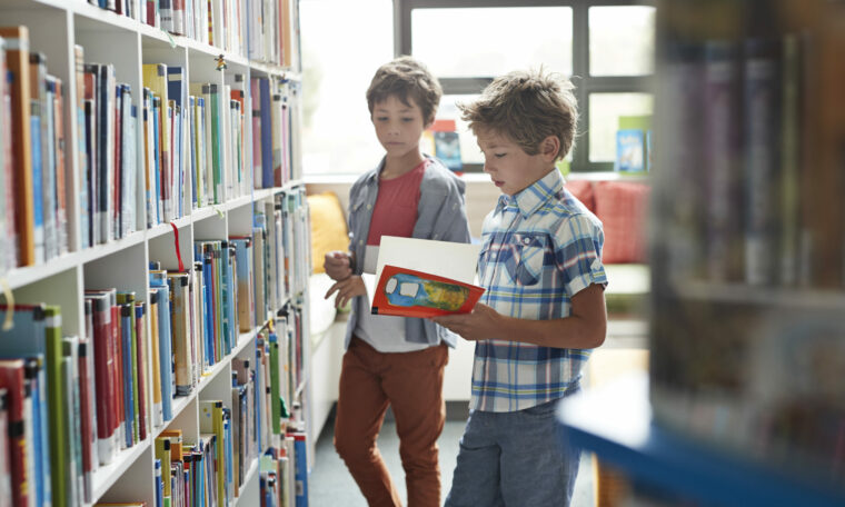 Skolbibliotek