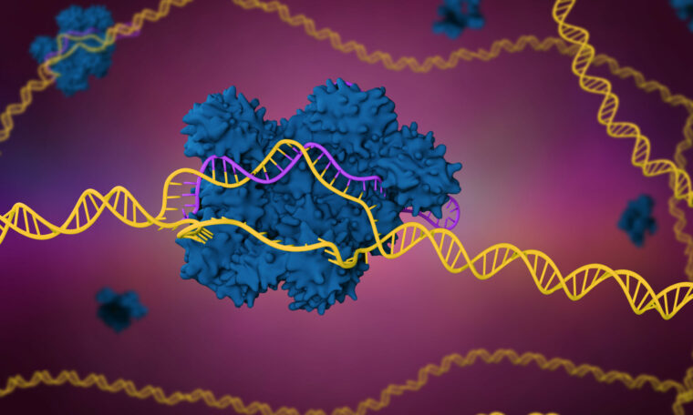gensaxen, Crispr/Cas9