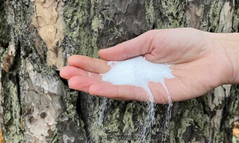 salt i en hand