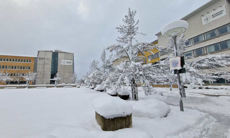 Karolinska institutet Flemingsberg