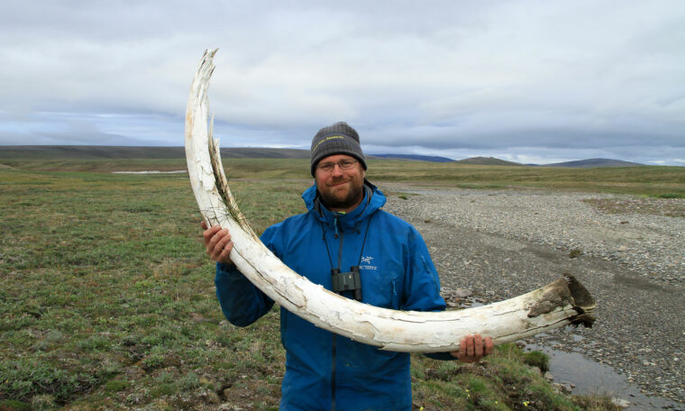 Love Dalén med bete av ullhårig mammut